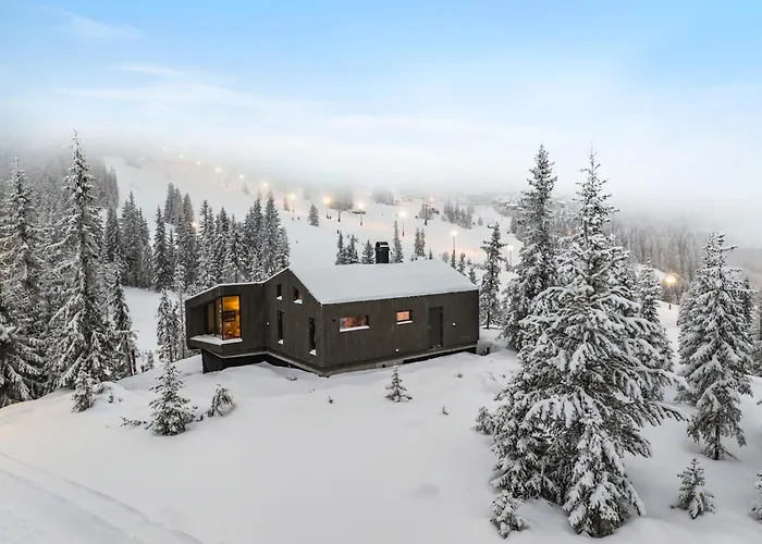 Ski-In-Out Hytte Pa Kvitfjell